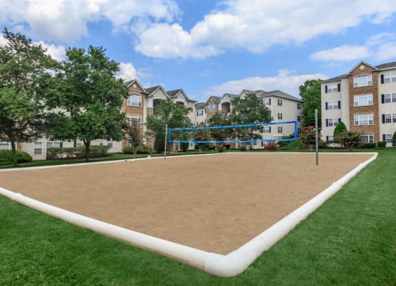 Volleyball Court 01