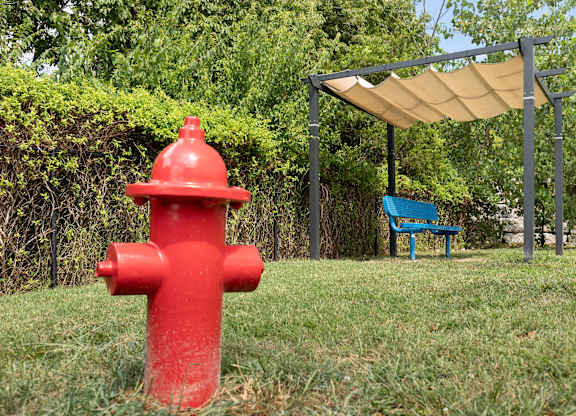 A red fire hydrant stands in a grassy area next to a blue bench at Alinea Town and Country Luxury Apartments in Des Peres MO 63131.