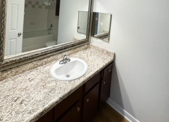 a bathroom with a sink and a mirror