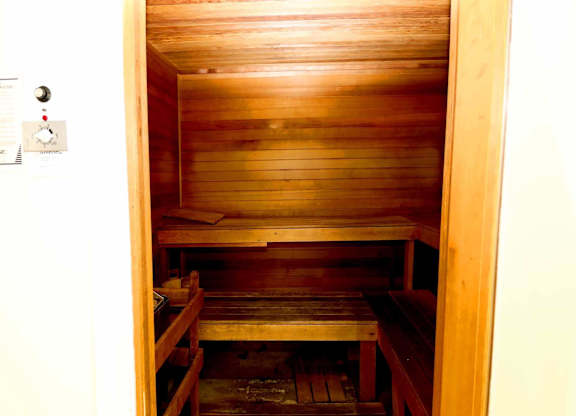 A wooden sauna with benches and a door.