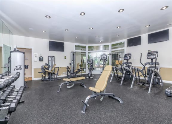 the gym is equipped with cardio equipment and weights