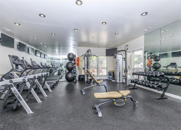 the gym is stocked with weights and cardio equipment