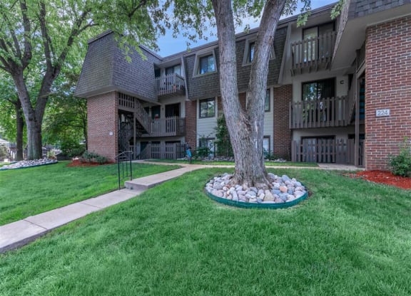 our apartments have a spacious yard with a tree and rocks