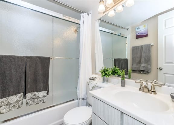 a bathroom with a sink toilet and a shower