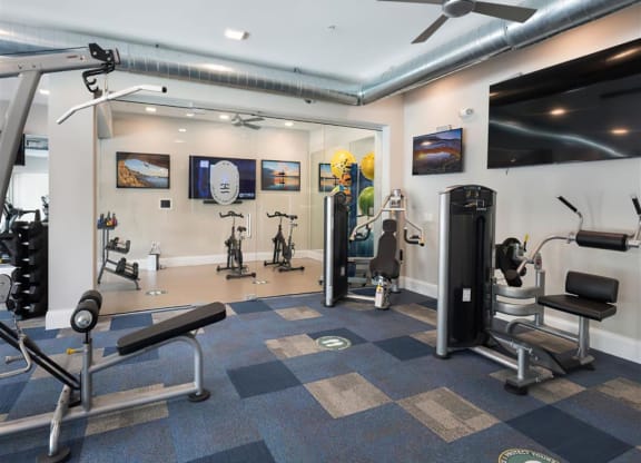 a gym with weights and cardio machines and a tv