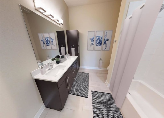 a bathroom with a sink and a shower