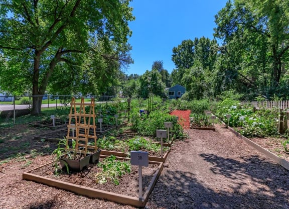 Park_Forest_Amenity_10_St_Louis_MO