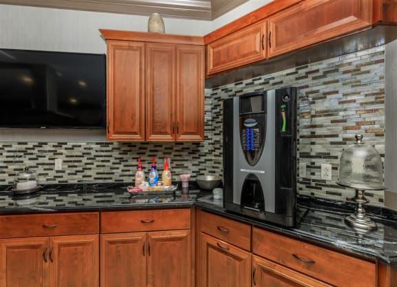 The_Orion_Amenity_5_St_Louis_MO