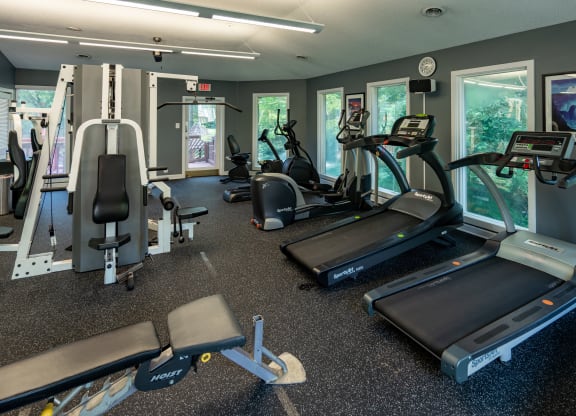 a gym full of cardio equipment and exercise machines