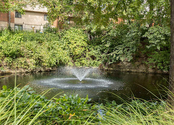 A fountain in the middle of a pond surrounded by greenery.