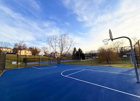 A basketball court with a blue surface and white lines, surrounded by a fence and trees.