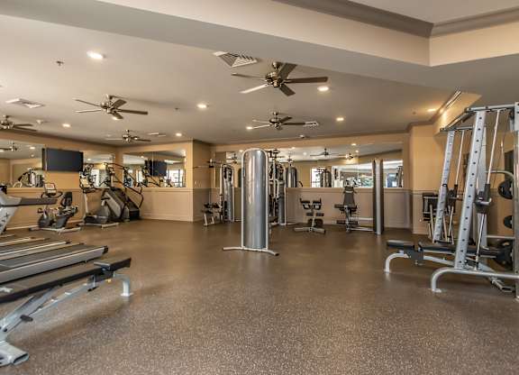 A spacious gym with a variety of equipment including treadmills, weight machines, and a television.