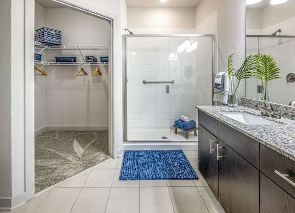 The Point of Tamaya Luxury Apartments in Jacksonville, FL 32246 - bathroom 01