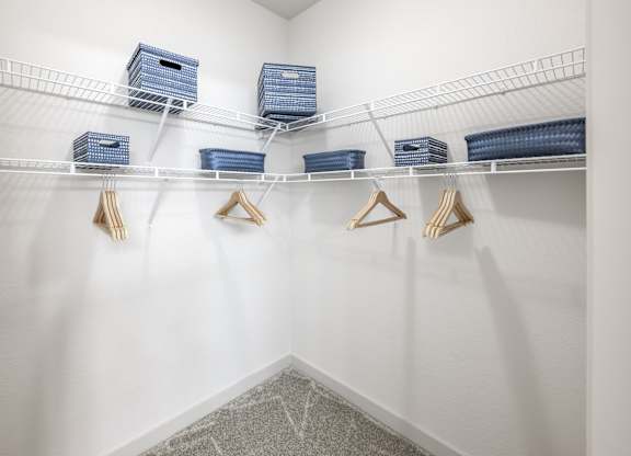 The Point of Tamaya Luxury Apartments in Jacksonville, FL 32246 - walk in closet