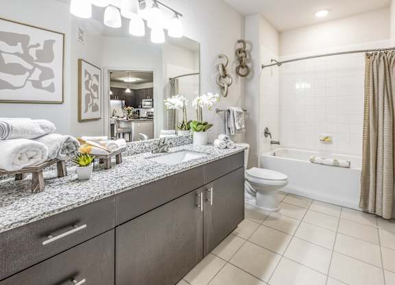 The Point of Tamaya Luxury Apartments in Jacksonville, FL 32246 - bathroom 02