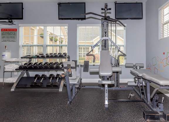 A gym with a row of dumbbells and a bench press.