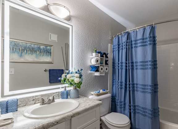 A bathroom with a sink, toilet, and shower.