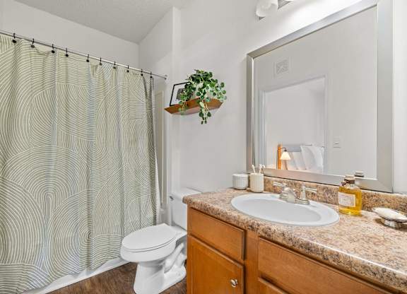 A bathroom with a white toilet, a sink, and a shower curtain.