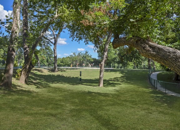 Westshore_Colony_Amenity_7_New_Braunfels_TX
