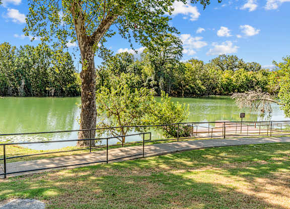 A tree stands in front of a green lake.