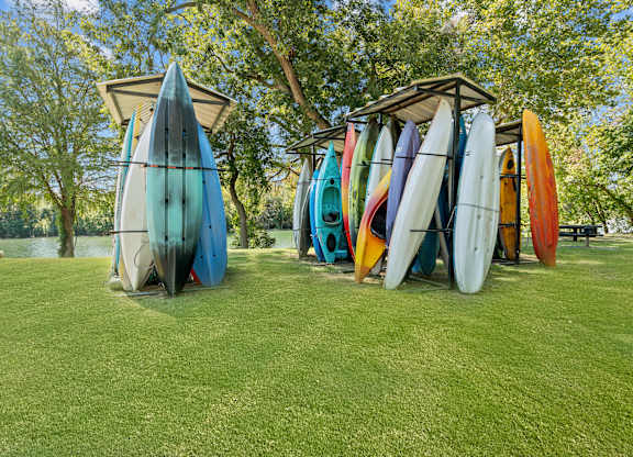 A row of surfboards are lined up on a grassy area.