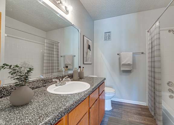 Residential Bathroom at Bardin Oaks Apartments, Arlington, Texas