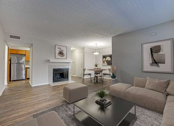 Dark grey couched in living room at Timberglen Apartments, Dallas, TX