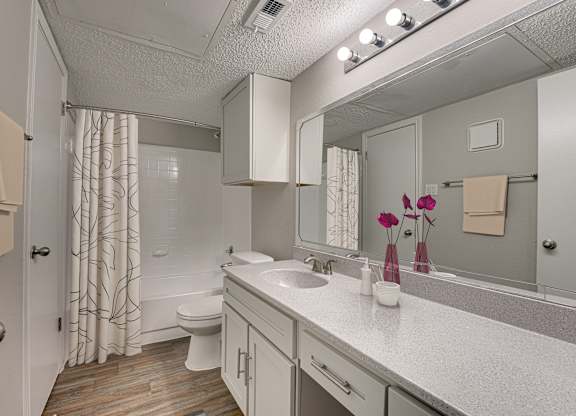 bathroom with a toilet, sink, and shower at Timberglen Apartments, Dallas Texas