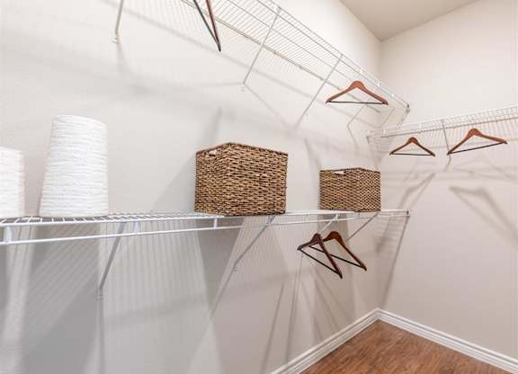 Closet View at Delray Apartments, Texas