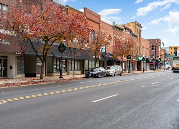 A tree with red leaves is in front of a building with a brown awning.