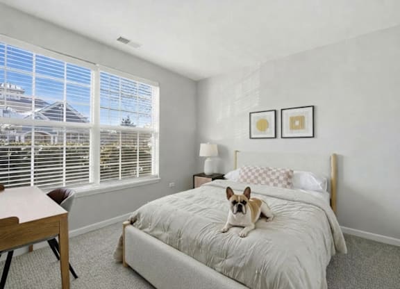 A dog is sitting on a bed in a bedroom.