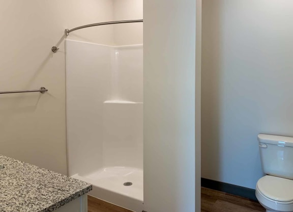 a bathroom with a walk-in shower and a toilet