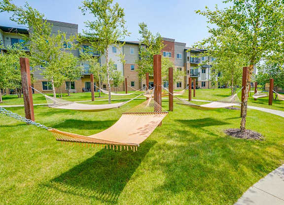 A hammock garden with several cloth-style hammocks and trees for shade.