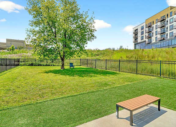 A park with a bench and a tree in the middle of a grassy area.