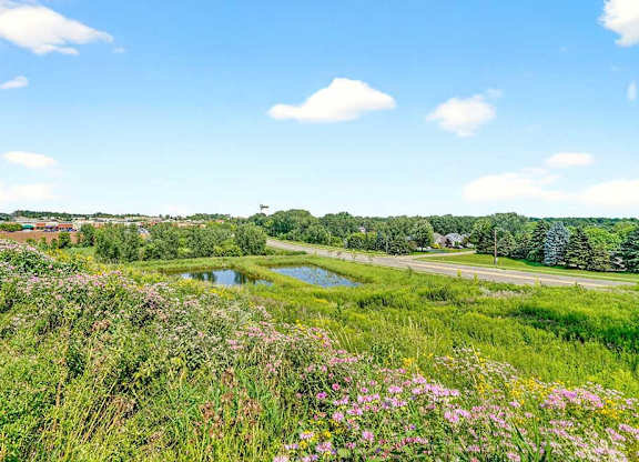 Scenic landscape view with wildflowers, grassy fields, and a small pond near a roadway, offering natural surroundings adjacent to the apartment community.
