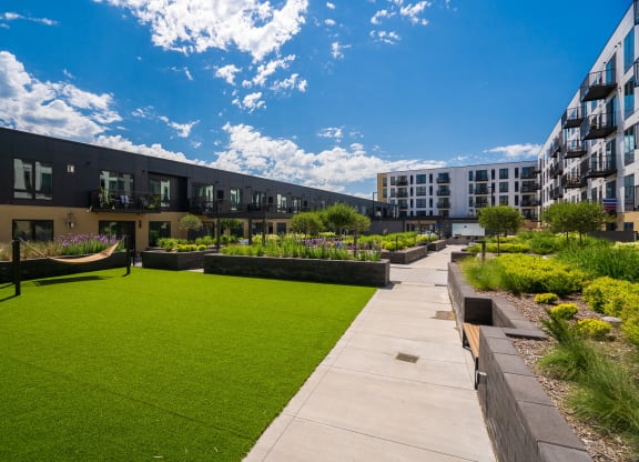 Hammock on grassy area with view of luxury apartments in the background