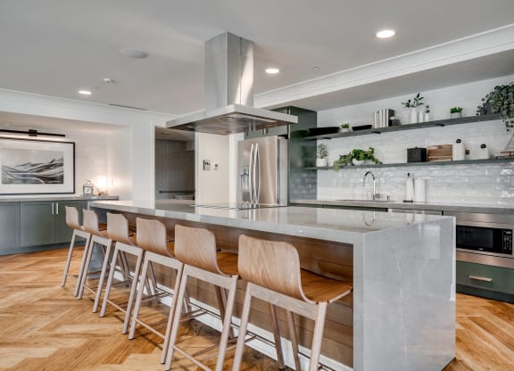 Luxury community kitchen with professional appliances and expansive island with seating for six
