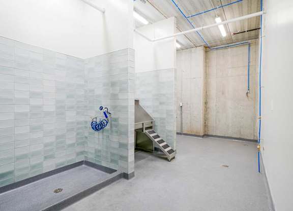 a tiled dog spa with a large walk-in shower, and a pet wash station