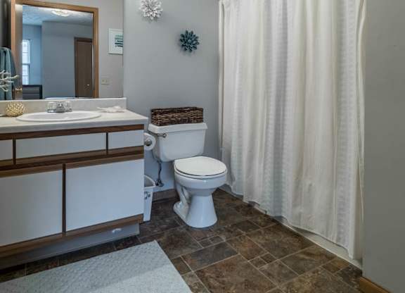 A bathroom with a toilet, sink, and shower curtain.