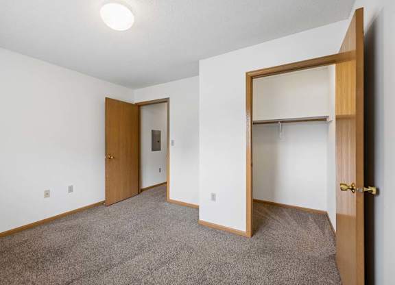 Bright apartment bedroom with carpeted flooring, neutral walls, an open closet with a hanging rod, and a separate walk-in closet for additional storage.