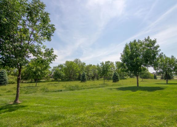 Exteriors-Wetland View by Pinebrook Apartments in Lincoln NE