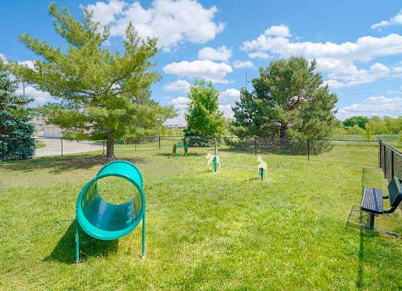a dog park with agility training equipment