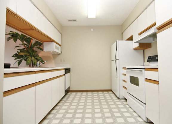 A kitchen with white appliances and a plant on the counter.