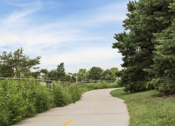 Trails at Pine Lake Heights