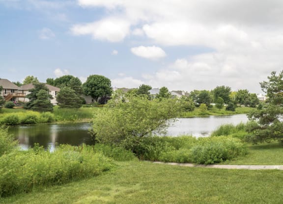 Landscaping at Pine Lake Heights