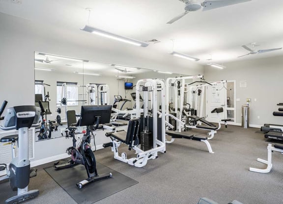 a gym with cardio equipment and weight machines