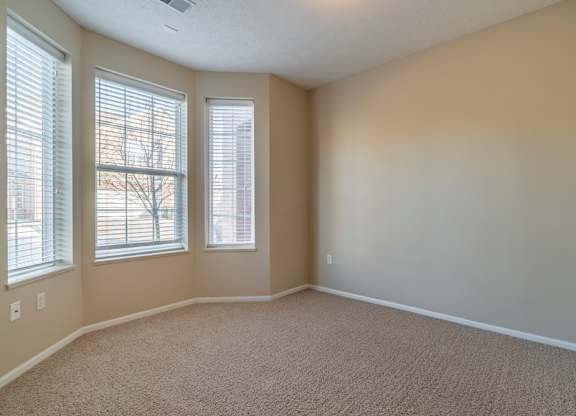A bedroom with carpeted floor and two windows.