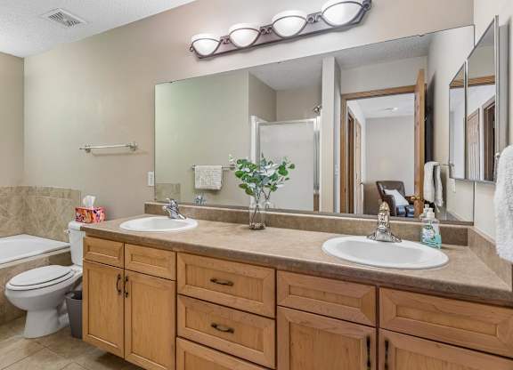 A bathroom with a white toilet and dual sinks