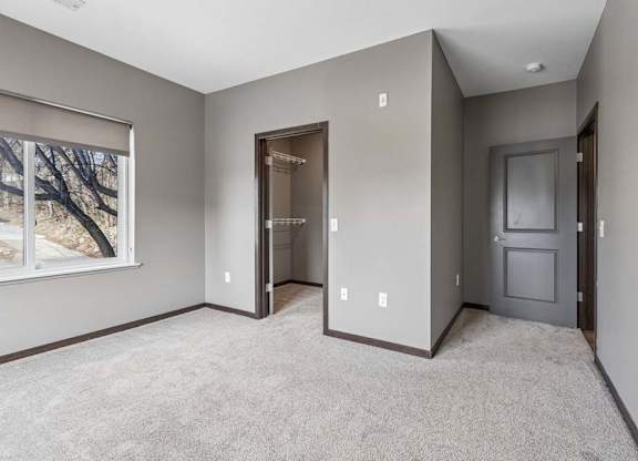 Spacious apartment bedroom with soft carpeting, a large window, walk-in closet access, and gray walls.