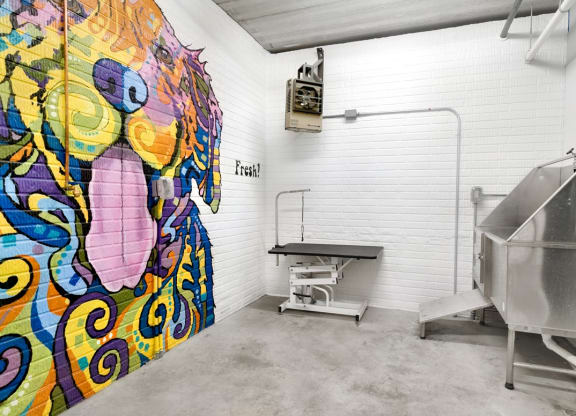 Indoor wash station for dogs, with one wall decorated with a  colorful mural
